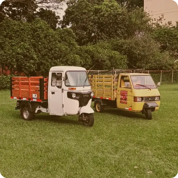 imagen Transporte